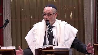 Rabbi Roly Matalon | D'var Torah Parashat Miketz | December 22, 2023