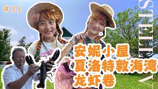 加拿大PEI ｜著名打卡聖地安妮小屋｜出海到夏洛特敦Charlottetown海灣看日落｜能說能唱的老船長｜捕獲龍蝦｜如何分辨龍蝦Lobster的雌雄