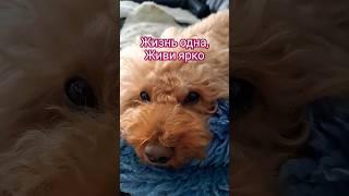 Жизнь одна,  живи ярко!  Никто не знает когда она закончится