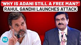 Rahul Gandhi’s Scathing Attack On Modi Govt Over Adani Row; ‘PM Is Protecting…’ | Watch