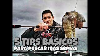 5 tips básicos para pescar mas sepias