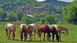 Hocking College - A Tour