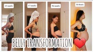 PREGNANCY TRANSFORMATION ( Week by Week ) || MichMorena