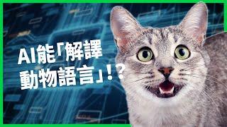 AI人工智慧即將能「解譯動物語言」！ 飼主終於能和毛小孩有效溝通？ 有助動保卻也可能引發生態危機？ 【TODAY 看世界】