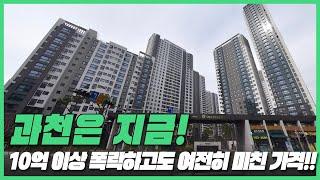 10억 이상 폭락하고도 여전히 미친 가격!! 경기도 과천시 #가격 하락 #아파트[직거래및1층거래제외, 최근실거래가비교]