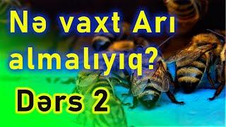 Arını nə vaxt almalıyıq?  | Sıfırdan Arıçılıq. DƏRS -2