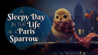 A Cute & Cozy Sleepy StoryA Sleepy Day in the Life of a Paris Sparrow | Storytelling and CALM Music