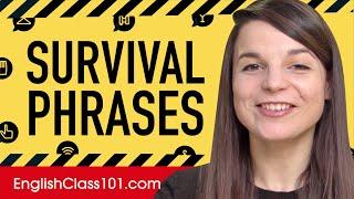 All Survival Phrases You Need in English! Learn English in 40 Minutes!