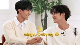 mingyu babying dk princess treatment | seokgyu moments