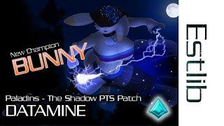 Paladins - Shadow PTS Datamine
