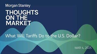 What Will Tariffs Do to the U.S. Dollar?