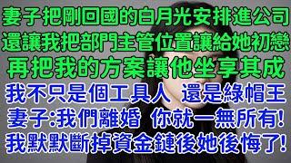 妻子把剛回國的白月光安排進公司，還讓我把部門主管位置讓給她初戀，再把我的方案讓他坐享其成。原來我不只是個工具人還是個綠帽王！妻子：如果我們離婚你就一無所有！我默默斷掉資金鏈後她後悔了！