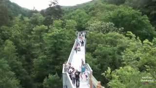 Harz Baumwipfelpfad in Bad Harzburg Baumkronenpfad Baumkronenweg TreeTopWalk