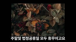 취업과창업(구인구직) - 오늘의취업정보(사무기술직)