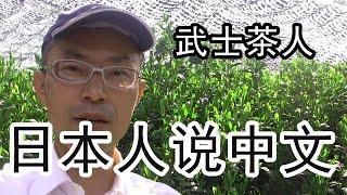 【日本人说中文】日本茶的茶园