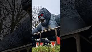 King Kong - Bobbejaanland 2023