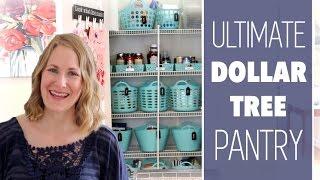 Ultimate Dollar Tree Pantry Organization!
