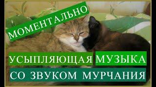 Музыка для кошек котов и котят со звуком мурчания Колыбельная для котят котов и кошек Кошачья музыка