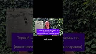 Получат ли украинцы возможность легализоваться в Европе до марта 2027 года?  Временная защита