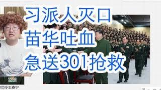 习近平张又侠视察信息支援部队，苗华被殴吐血急送301医院抢救。薄瓜瓜的小作文。