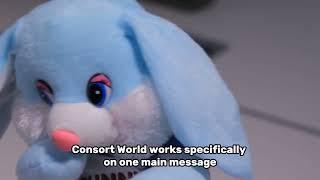 A chat with Camille From Consort World