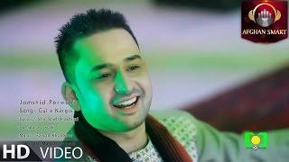 Jamshid Parwani - Gul e Nargis OFFICIAL VIDEO