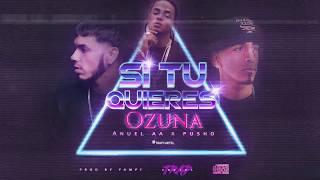 Ozuna x Anuel AA x Pusho - Si Tu Quieres