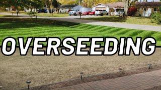 Steps to Transform your Lawn with a Fall Overseed