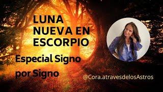 Luna Nueva en Escorpio. Especial signo por signo. Cruzando el Umbral