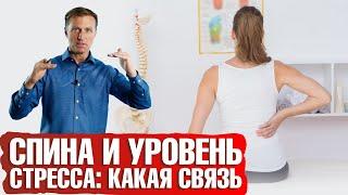 Уровень стресса и боль в спине: в чем связь‍️