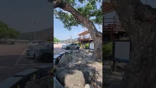 청송군 강변 주차장