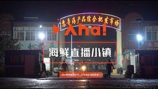 【Aha视频】央视点名的全网第一直播小镇：一年卖出数十亿海鲜，渔民变主播收入过百万