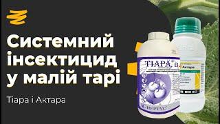 СИСТЕМНИЙ ІНСЕКТИЦИД У МАЛІЙ ТАРІ НЕДОРОГО. ТІАРА І АКТАРА