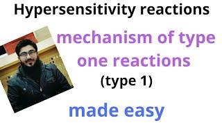 hypersensitivity (type one hypersensitivity reactions) , IgE mediated hypersensitivity reactions .