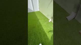 Artificial Turf Maintenance