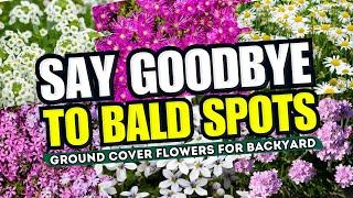  Top 12 Ground Cover FLOWERS for Erasing Backyard BALD Spots! SAY GOODBYE TO BALD SPOTS! 