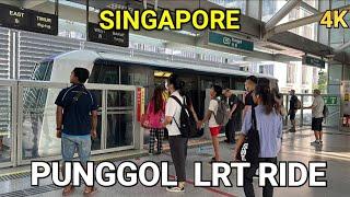 Singapore City 2023 | Punggol LRT Ride |  Riding Through the East Loop and West Loop