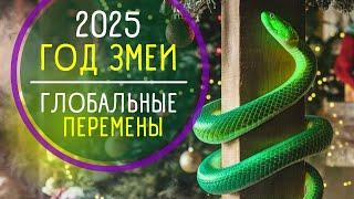  СИМВОЛ 2025 года: год ЗМЕИ. Как встретить и Что важно знать!