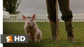 That'll Do Pig - Babe (9/9) Movie CLIP (1995) HD