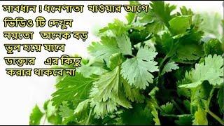 সাবধান ! ধনেপাতা খাওয়ার আগে ভিডিও টি দেখুন নয়তো অনেক বড় ভুল হয়ে যাবে ডাক্তার এর কিছু করার থাকবে না