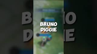 Tutorial pake meta Bruno Diggie