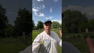 Угол зрения меняет всё. И вот как это использовать @gavrilenkoteam ￼