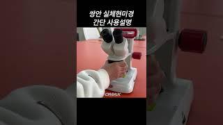 #쌍안 #실체현미경 #사용방법 #현미경 #오맥스