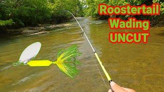 Creek Wading with Roostertail Lure