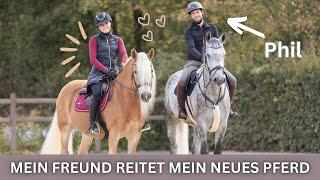 PHIL REITET MEIN NEUES PFERD BLUE | ANJA FEE