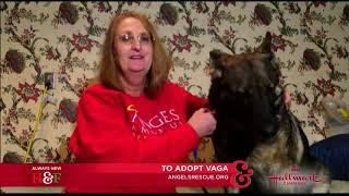 Vaga on the Hallmark channel