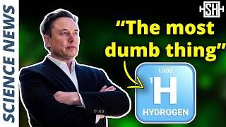 “The most dumb thing" for energy storage: Hydrogen
