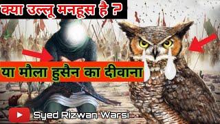 Ulloo Karbala ki shahadat dekhne wala manhoos kaise ho sakta h #sayyed Rizwan warsi