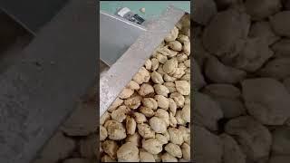 Soya badi fully automatic