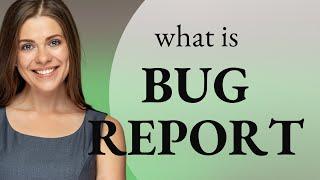 Bug Reports Decoded: Understanding Tech Lingo